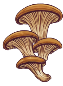 Orellanas